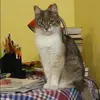 Отзыв от Нелли Архипова